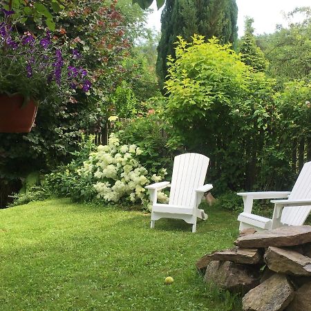 Willa Schmetterling Villa Duszniki Zdrój Dış mekan fotoğraf